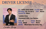 Custom GTA-Inspired Driver License - Metal Card