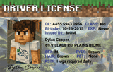 Custom Minecraft-Inspired Driver License - Metal Card
