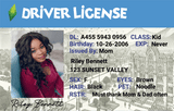 Custom The Sims-Inspired Driver License - Metal Card