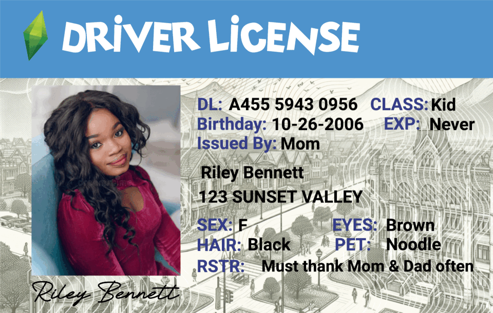 Custom The Sims-Inspired Driver License - Metal Card